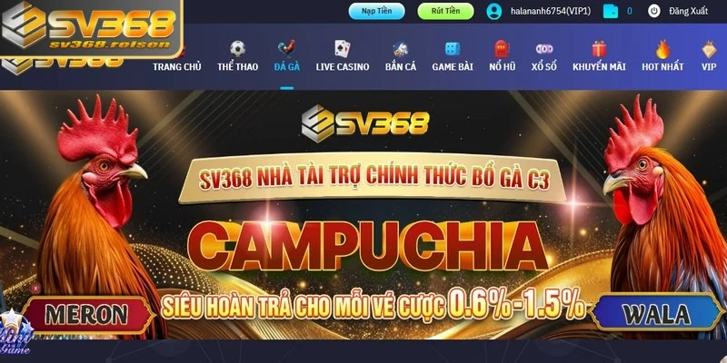 Đá gà là sảnh game chất lượng, xanh chín trong hệ thống