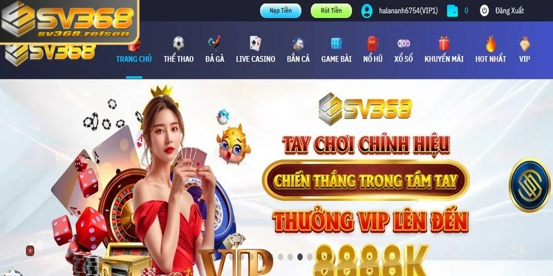 Giao diện trong hệ thống bắt mắt và sắc nét